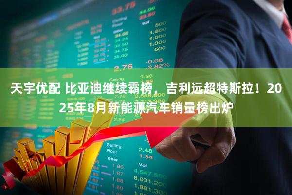 天宇优配 比亚迪继续霸榜，吉利远超特斯拉！2025年8月新能源汽车销量榜出炉